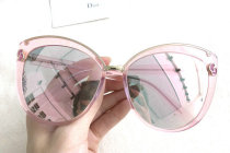 Dior Sunglasses AAA (376)