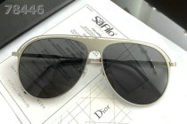 Dior Sunglasses AAA (555)
