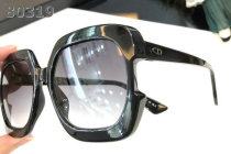 Dior Sunglasses AAA (811)