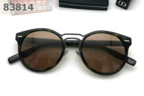 Dior Sunglasses AAA (1071)