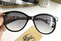 Burberry Sunglasses AAA (347)