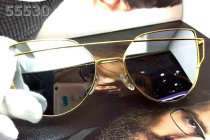 Dior Sunglasses AAA (1152)