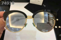 Dior Sunglasses AAA (266)