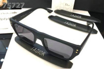 Dior Sunglasses AAA (312)