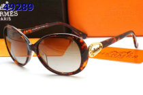 Hermes Sunglasses AAA (32)