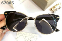 Dior Sunglasses AAA (1653)