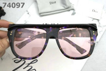 Dior Sunglasses AAA (208)