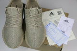 Authentic Y 350  “Oxford Tan”(with receipt)