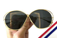 Dior Sunglasses AAA (1857)
