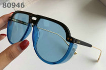 Dior Sunglasses AAA (894)