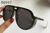 Dior Sunglasses AAA (895)