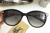 Burberry Sunglasses AAA (343)