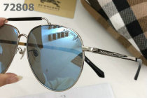 Burberry Sunglasses AAA (355)