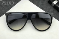 Celine Sunglasses AAA (192)