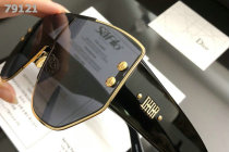 Dior Sunglasses AAA (671)