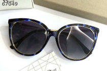 Dior Sunglasses AAA (1637)