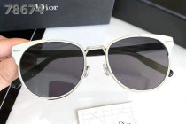 Dior Sunglasses AAA (601)