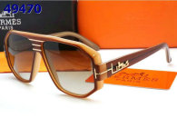 Hermes Sunglasses AAA (55)