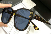 Dior Sunglasses AAA (578)