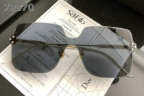 Dior Sunglasses AAA (699)