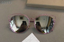Dior Sunglasses AAA (1561)