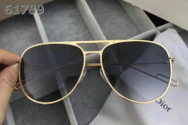 Dior Sunglasses AAA (1342)