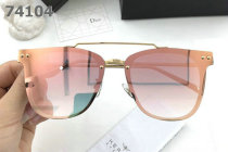 Dior Sunglasses AAA (216)