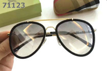 Burberry Sunglasses AAA (305)