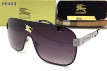 Burberry Sunglasses AAA (205)