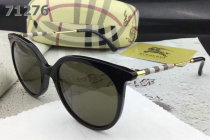 Burberry Sunglasses AAA (310)
