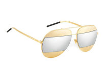 Dior Sunglasses AAA (1165)