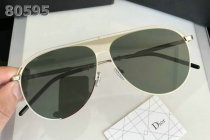 Dior Sunglasses AAA (876)
