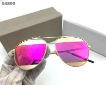 Dior Sunglasses AAA (1141)