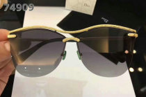 Dior Sunglasses AAA (256)