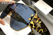 Dior Sunglasses AAA (670)