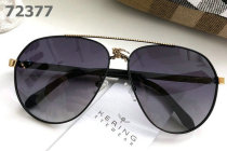 Burberry Sunglasses AAA (337)