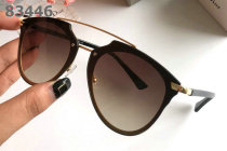 Dior Sunglasses AAA (1032)