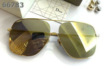 Dior Sunglasses AAA (1614)