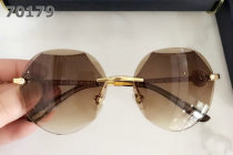 Chopard Sunglasses AAA (65)