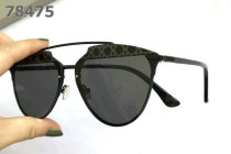 Dior Sunglasses AAA (587)