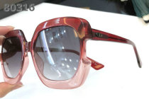 Dior Sunglasses AAA (808)