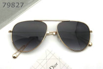 Dior Sunglasses AAA (763)