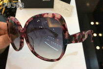 Dior Sunglasses AAA (691)