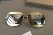 Dior Sunglasses AAA (1607)