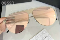 Dior Sunglasses AAA (874)