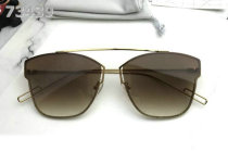 Dior Sunglasses AAA (161)
