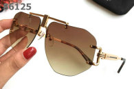 Celine Sunglasses AAA (291)