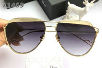 Dior Sunglasses AAA (1809)