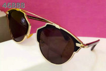 Dior Sunglasses AAA (298)