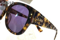 Dior Sunglasses AAA (1456)